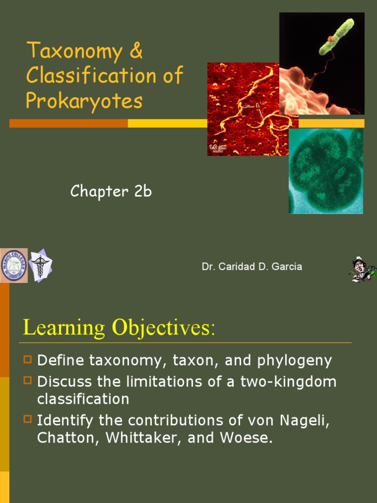 Micro CH 2b Taxonomy | PDF | Cell (Biology) | Taxonomy (Biology)