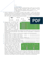 Guia de atividades de rugby para professores