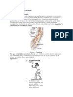 Ejercicios para La Tendinitis de Aquiles