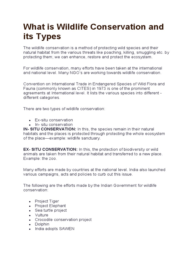 Wildlife visual data 4