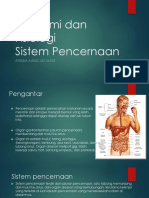 Anatomi Dan Fisiologi Sistem Pencernaan