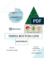 341267894 CEM Triple Bottom Line Writeup