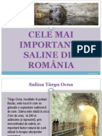 CELE-MAI-IMPORTANTE-SALINE-DIN ROMANIA-cel Bun