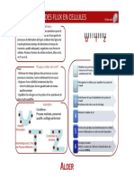 Flux en Cellules