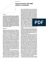 A Deubiquitinating Enzyme Interacts With