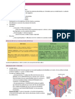 Fisiologia Hepatobiliar