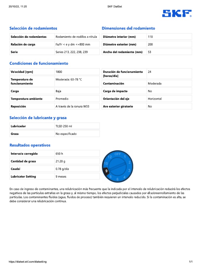 SKF | PDF