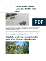 Rarest Sea Turtle On The Planet Hatches in Louisiana For The First Time in 75 Years