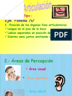 PONENCIA ARTICULACION nueve