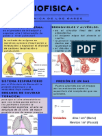 Semana 11