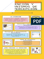 Atención y Mecanismos de La Percepción