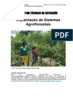 Sistemas Agroflorestais: Implantação e Benefícios