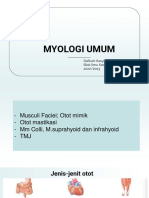 Myologi Umum