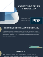 Caminos de Hamilton y Euler