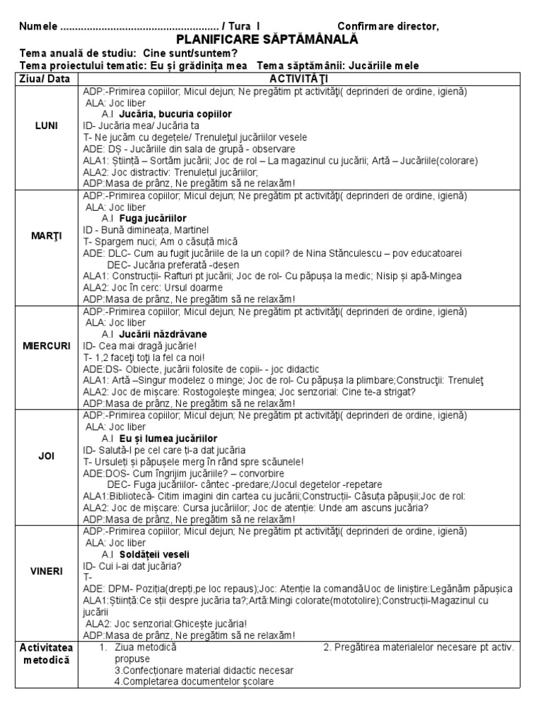 Planificare Sapt Jucariile Mele | PDF