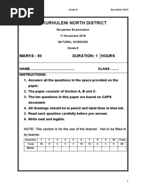 Natural Sciences Grade 8 November 2019