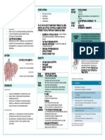 Trauma Hepático