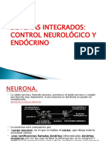 Sistema Integrados Endocrinos y Nervioso. 2013