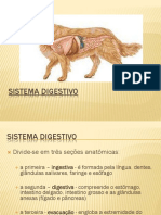 AULA 7 - Sistema Digestivo