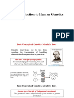 An introduction to basic concepts of human genetics