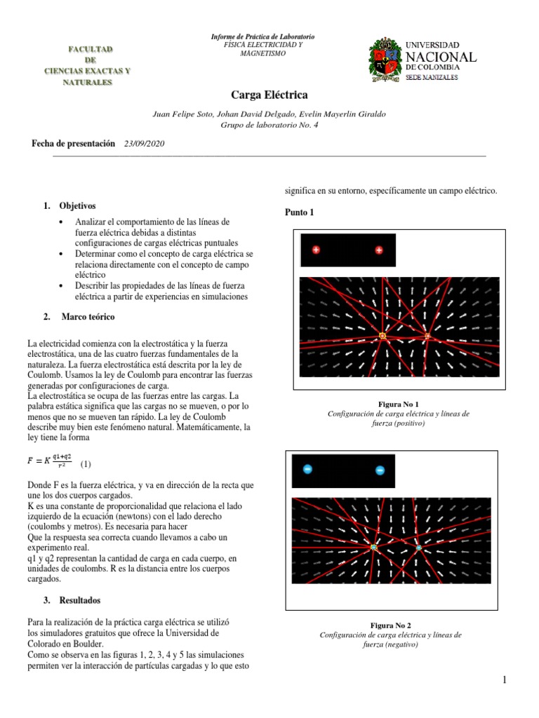 Análisis del comportamiento de las cargas eléctricas y sus