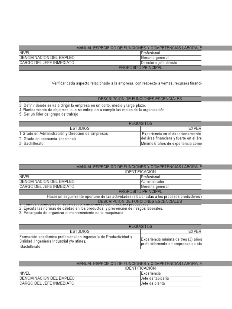 manual-de-funciones-pdf-contabilidad-economias