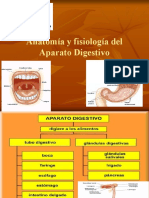 Aparato Digestivo