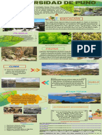 Infografía Sobre El Cuidado de Los Ecosistemas