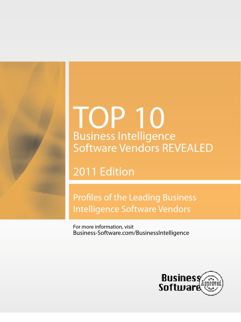 Top 10 Business Intelligence | PDF