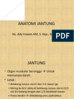 Jantung Anatomi dan Fungsi