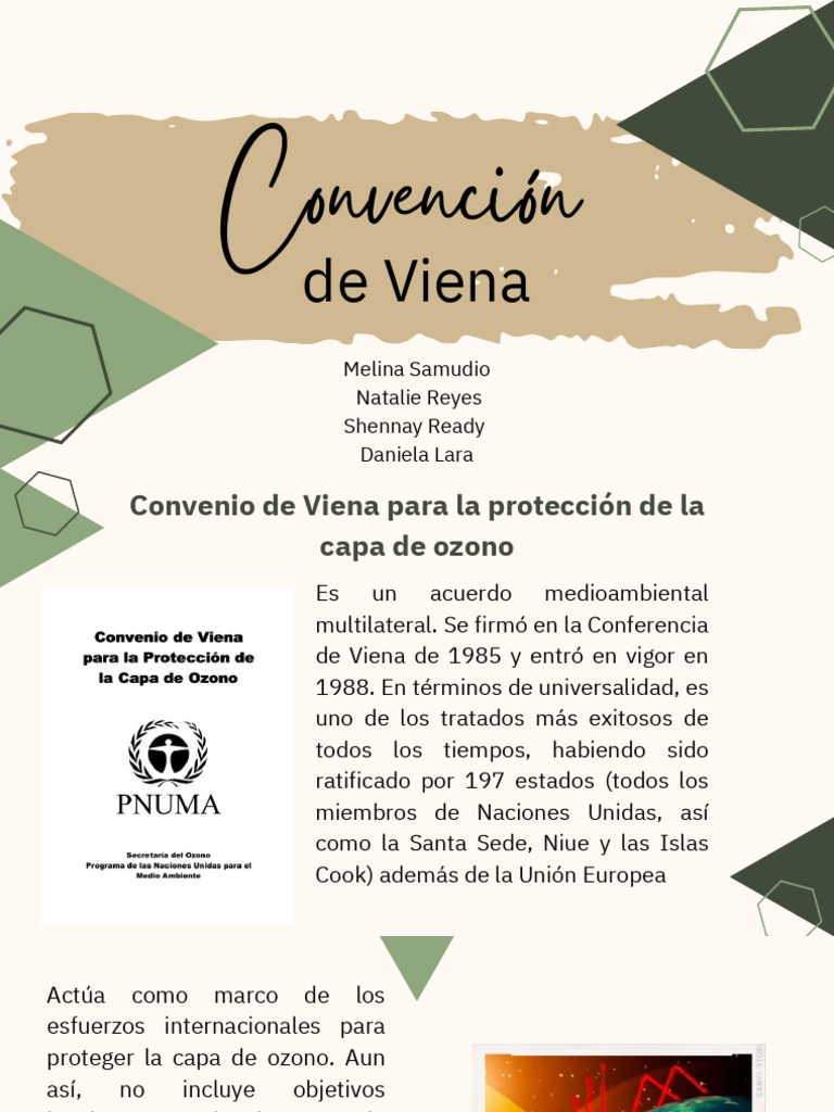 Convencion de Viena PDF Tratado Gobierno