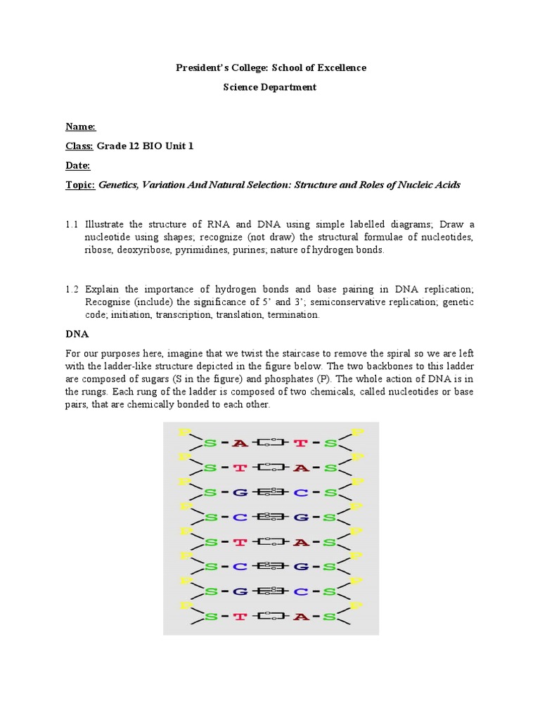 Structure and Role of Nucleic Acids PDF Dna Translation (Biology)