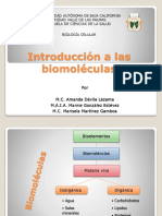Introduccion A Las Biomoleculas 2020-2