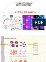 Morfologi Malaria2.Rev