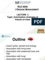 Lecture 3 Colonization Strategies of Insects On Trees