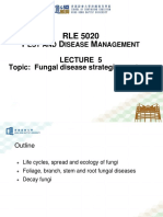 Lecture 5 Fungal Disease Strategies On Trees 202203