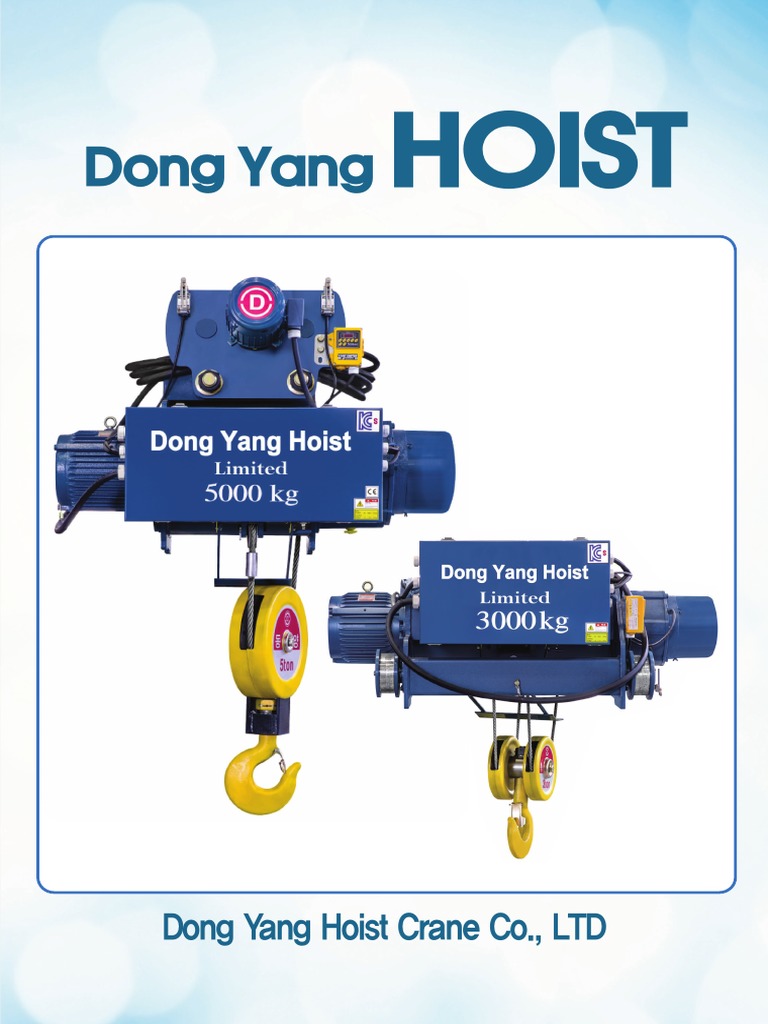 Dong Yang Hoist Overview and Drawings | PDF | Vehicle Technology ...