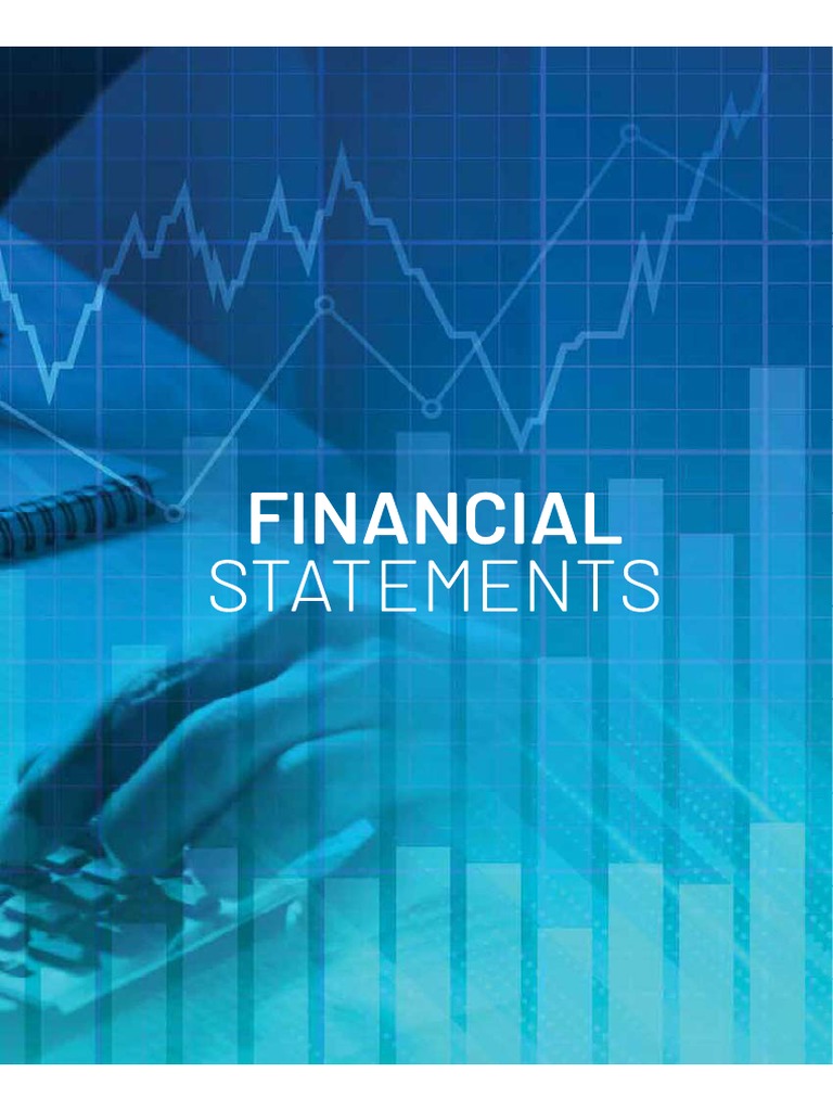 Audited Financial Statement | PDF