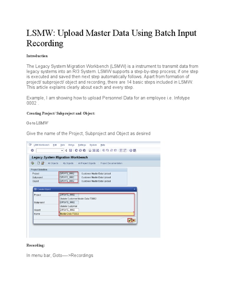 LSMW Step-by-Step Guide for SAP | PDF | Computer File | Microsoft Excel
