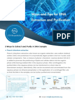 Ways and Tips For DNA Extraction and Purification