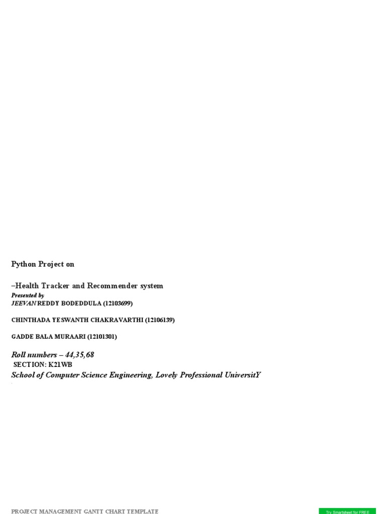 Project Management Gantt Chart Template2 | PDF | Graphical User