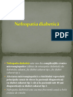 Nefropatia Diabetica_ROM_0