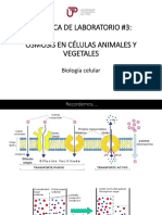 Laboratorio 3