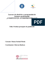 Competente Antreprenoriale-Proba Practica-Planul de Afaceri