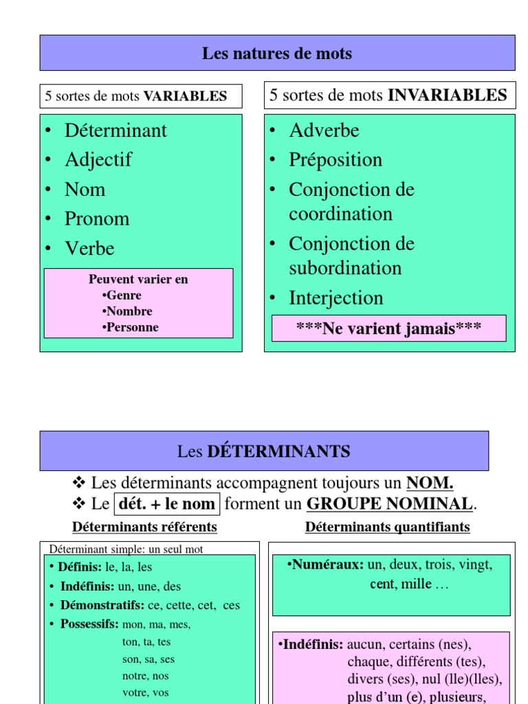 Types de déterminants en français | PDF | Nombre grammatical ...