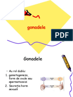 Gonadele