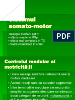 Sistemul Somato Motor
