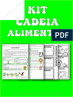 Cadeia alimentar e posições