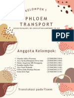 Kelompok 1 - Phloem Transport - Kelas J