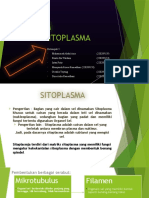 Kelompok 5 Sitoplasma
